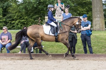 Bild 99 - Pony Akademie Turnier